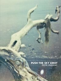 Push The Sky Away