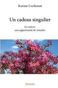 Un cadeau singulier