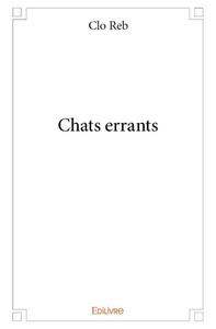 Chats errants