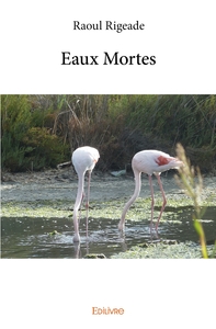 Eaux Mortes