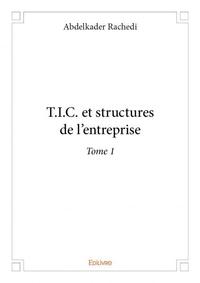 T.i.c. et structures de l'entreprise