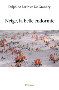 Neige, la belle endormie