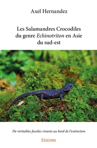 Les Salamandres Crocodiles du genre Echinotriton en Asie du sud-est