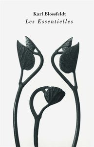 KARL BLOSSFELDT - LES ESSENTIELLES