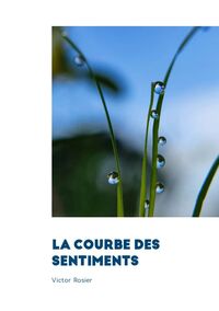 LA COURBE DES SENTIMENTS