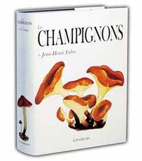 Les Champignons