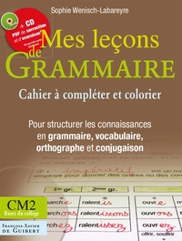 MES LECONS DE GRAMMAIRE CM2 - BASES DU COLLEGE (1CEDEROM)