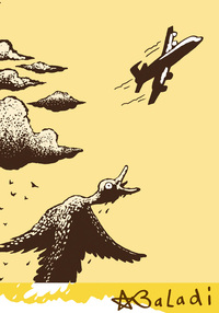 Rien de canard