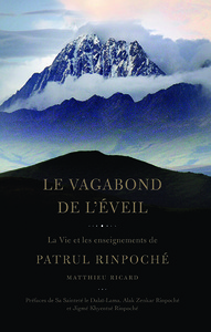 LE VAGABOND DE L'EVEIL