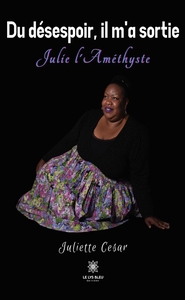 DU DESESPOIR, IL M'A SORTIE - JULIE L'AMETHYSTE
