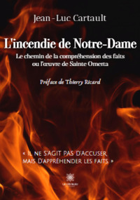 L'INCENDIE DE NOTRE-DAME - LE CHEMIN DE LA COMPREHENSION DES FAITS OU L'OEUVRE DE SAINTE OMERTA