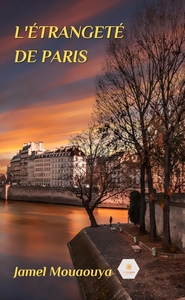 L'ETRANGETE DE PARIS