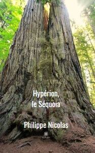 Hypérion, le sequoia