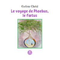 Le voyage de Phoebus, le fœtus