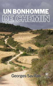 Un bonhomme de chemin