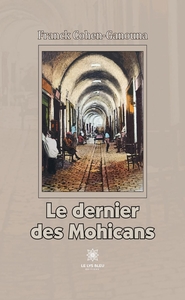 Le dernier des Mohicans