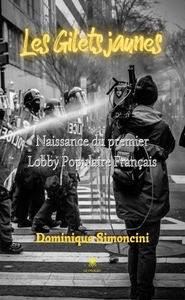 LES GILETS JAUNES - NAISSANCE DU PREMIER LOBBY POPULAIRE FRANCAIS