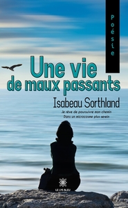 UNE VIE DE MAUX PASSANTS