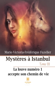 Mystères à Istanbul