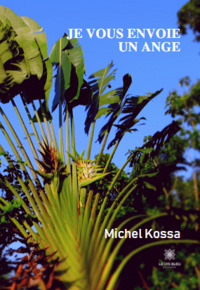 Je vous envoie un ange