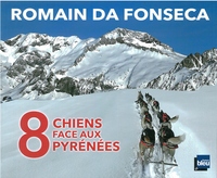 8 chiens face aux Pyrénées