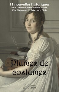 Plumes de costumes