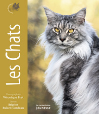 Les chats - Portraits d'animaux