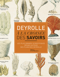 Deyrolle. A la croisée des savoirs