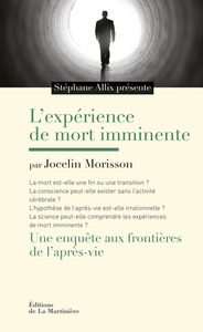 L'EXPERIENCE DE MORT IMMINENTE - UNE ENQUETE AUX FRONTIERES DE L'APRES-VIE