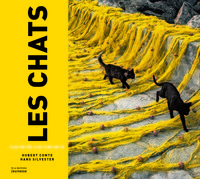 LES CHATS RACONTES AUX ENFANTS