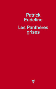 Les Panthères grises