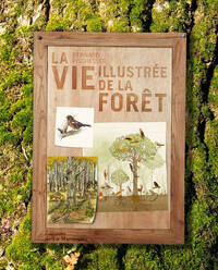 LA VIE ILLUSTREE DE LA FORET