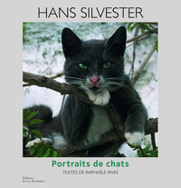 Portraits de chats