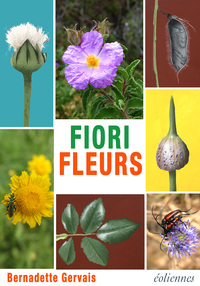 Fleurs