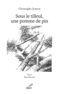 Sous le tilleul, une pomme de pin