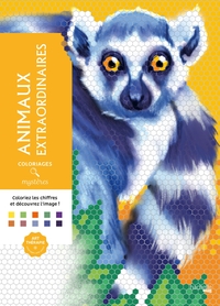 COLORIAGES MYSTERES - ANIMAUX EXTRAORDINAIRES