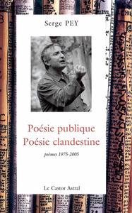 Poésie publique, poésie clandestine - poèmes 1975-2001