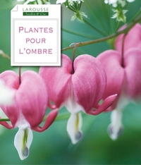 Plantes pour l'ombre