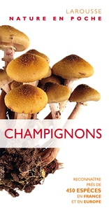 CHAMPIGNONS - NOUVELLE PRESENTATION