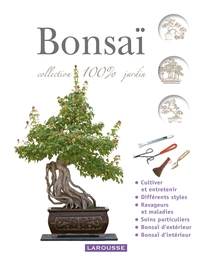 Bonsai - Nouvelle Présentation