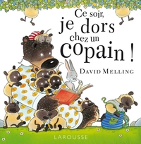 CE SOIR, JE DORS CHEZ UN COPAIN !