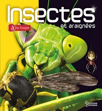 Insectes et araignées