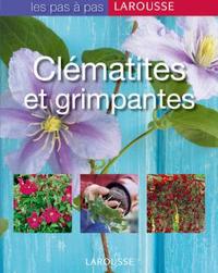 CLEMATITES ET GRIMPANTES