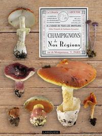 CHAMPIGNONS DE NOS REGIONS