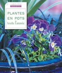 Plantes en pots toute l'année