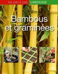 BAMBOUS ET GRAMINEES