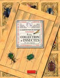 PETITE COLLECTION D'INSECTES DE NOS REGIONS