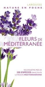 Fleurs de Méditerranée - nouvelle présentation