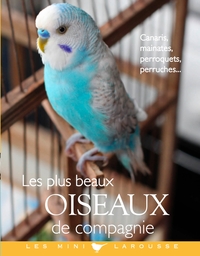 LES PLUS BEAUX OISEAUX DE COMPAGNIE