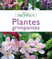 Plantes grimpantes